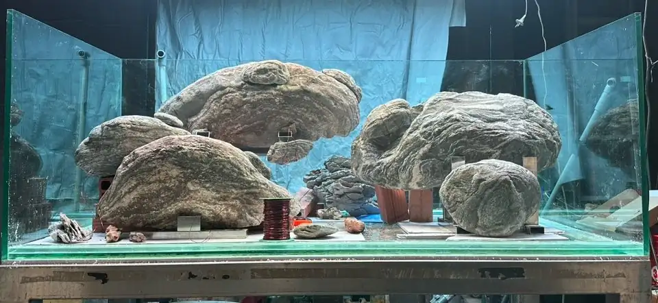 Aquascaping steps - Connecting - IAPLC 2025 Honor Prize - Long Tran Hoang / Vietnam